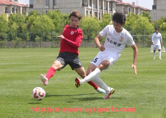 爱游戏体育-2025世俱杯举办城市名单与场馆布局