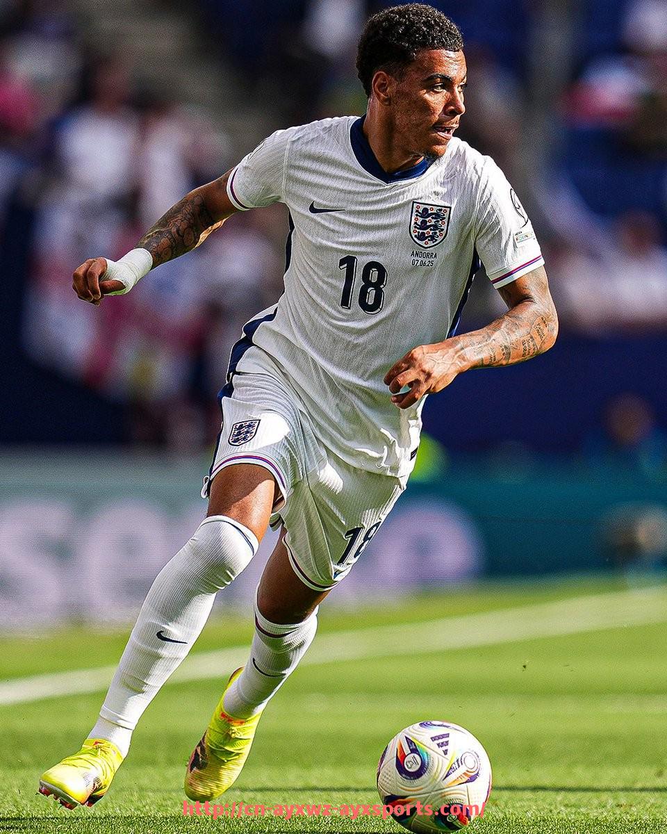 爱游戏体育-沙尔克04德甲球队发展现状及未来展望