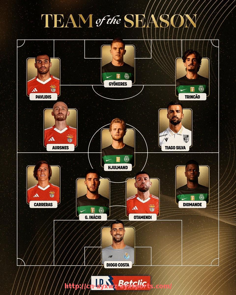 爱游戏体育-2025世俱杯举办城市名单与场馆布局