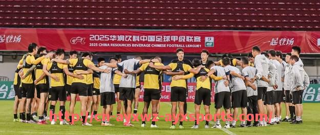 爱游戏体育-法甲里昂防守阵型的演变与战术调整策略