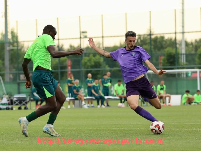 爱游戏体育-世俱杯游客服务中心在主办城市的设置原则与运营分析